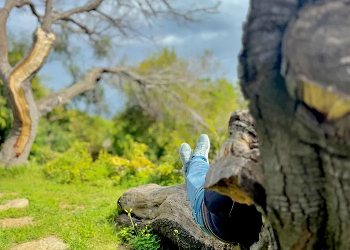 Vakantieboerderij Casas Da Serra *