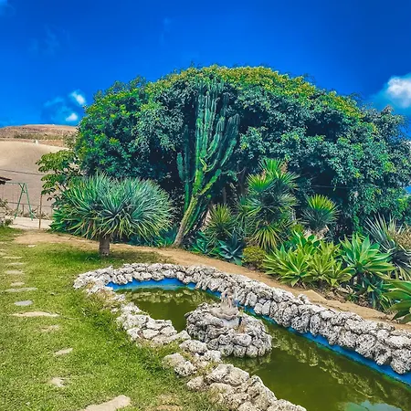 Casas Da Serra Κατάλυμα σε φάρμα