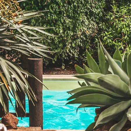 Farm stay Casas Da Serra Porto Santo