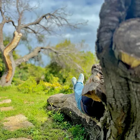 Κατάλυμα σε φάρμα Casas Da Serra *