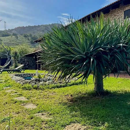 Casas Da Serra * Porto Santo